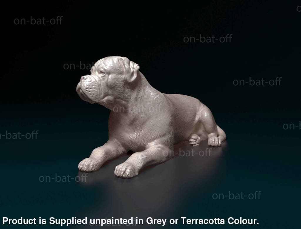 Bulldog Dog
