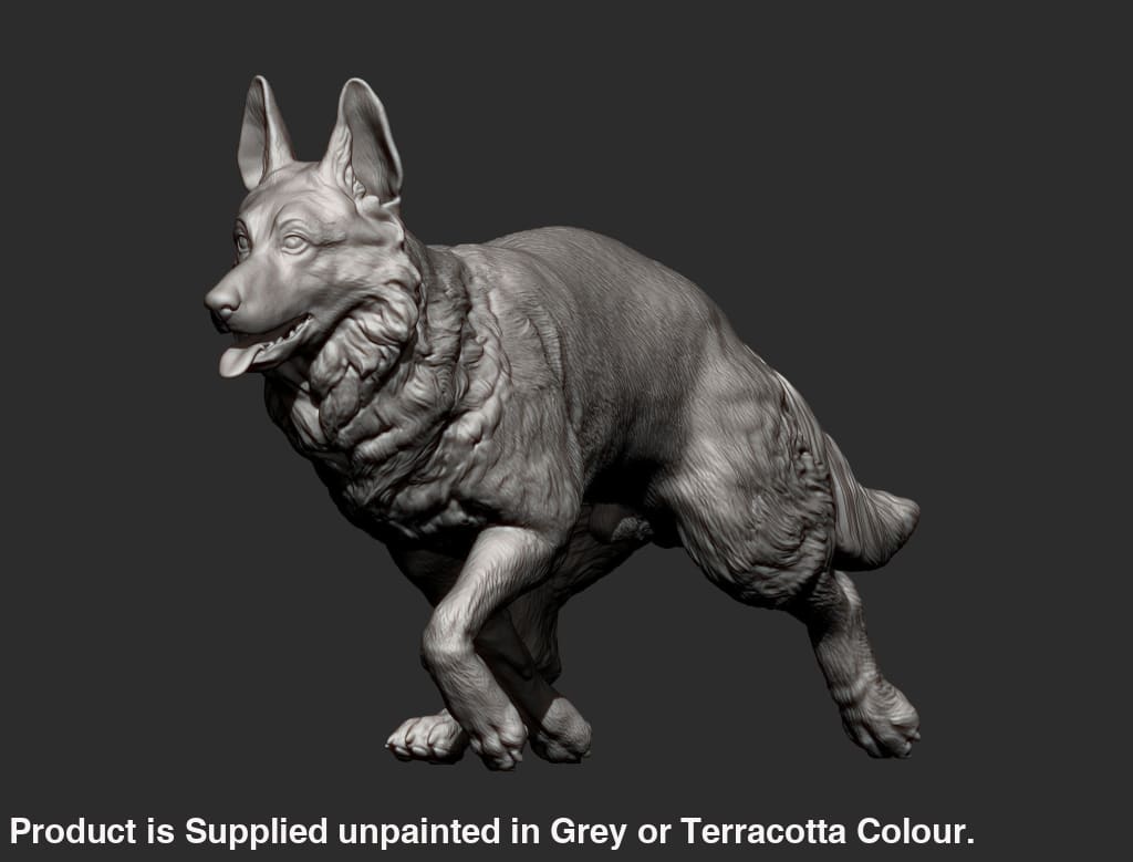 German Shepherd Running Dog