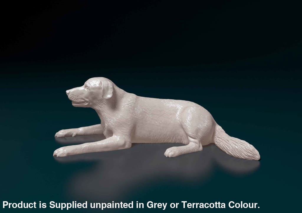 Mmd038 Labrador Retriever Animal