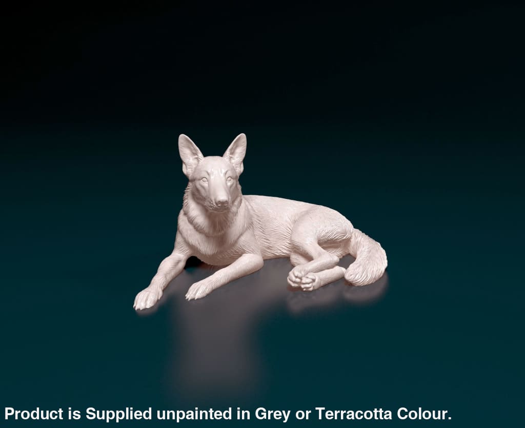 Mmd041 German Shepherd Lying Down Animal