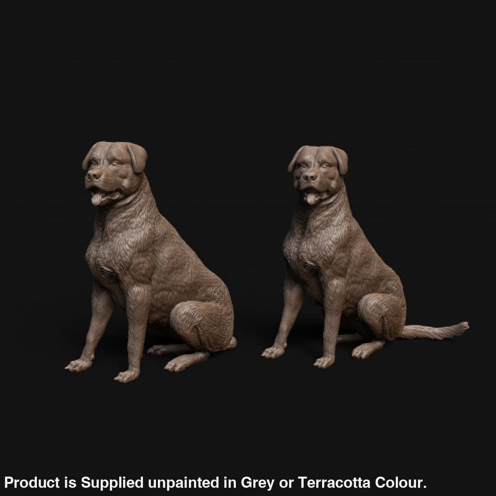 MMD042 Rottweiler dog sitting x 2 – Scale Scenery And Figures