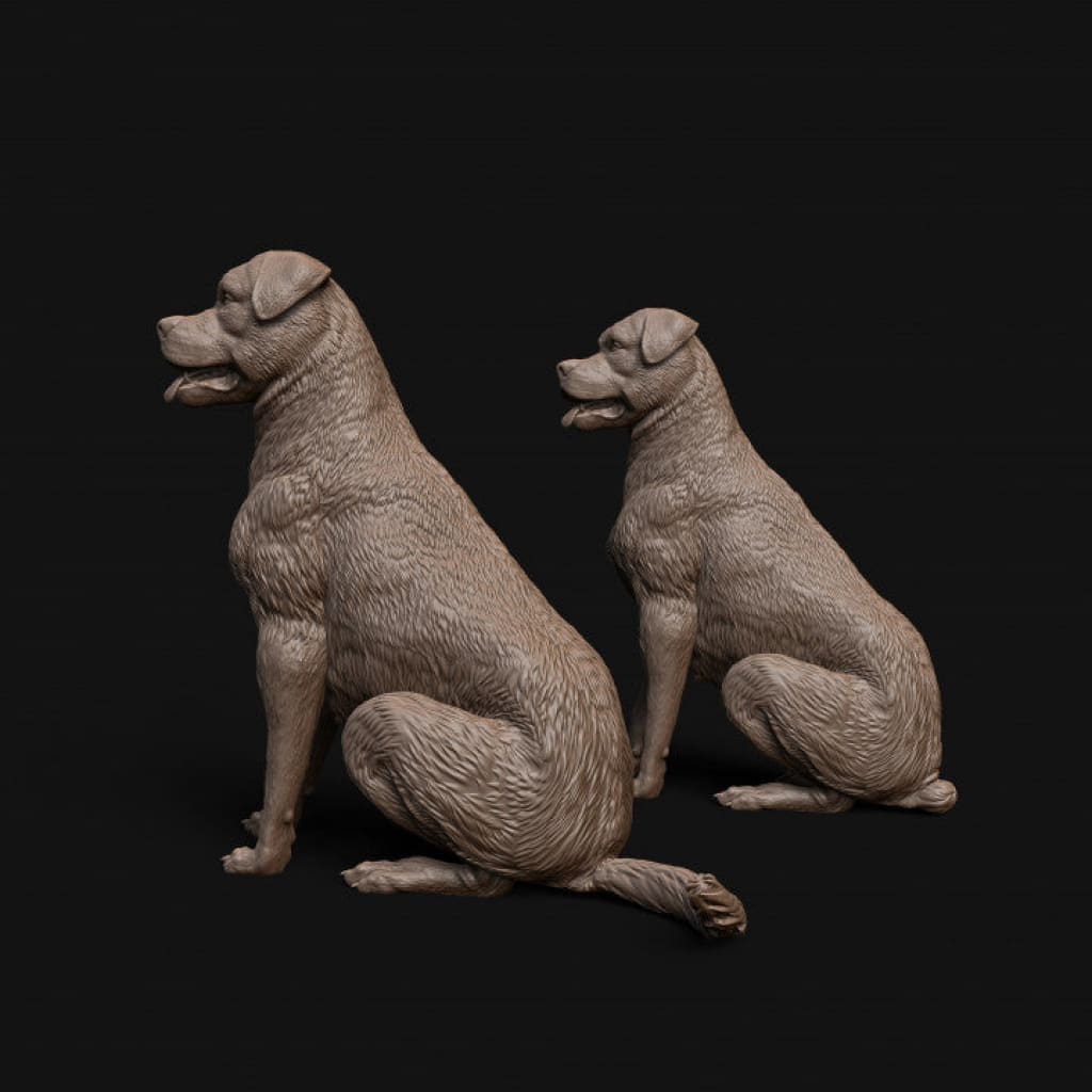 Mmd042 Rottweiler Dog Sitting X 2 Animal