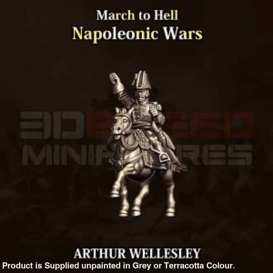 NWB Napoleonic British Arthur Wellesley 1st Duke of Wellington 15mm Figure