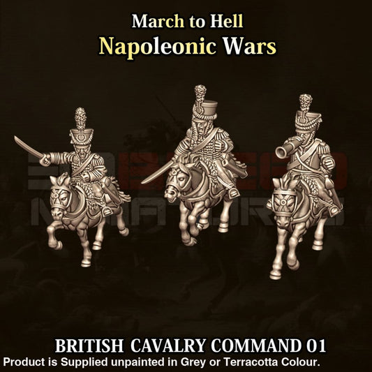 NWB Napoleonic British Cavalry Command 01 15mm Figure