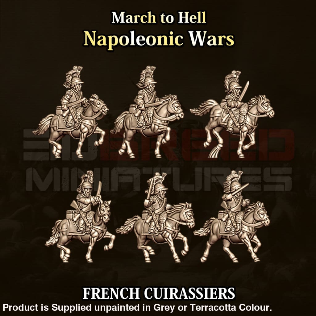 NWF Napoleonic French Cavalry Cuirassiers 15mm Figure