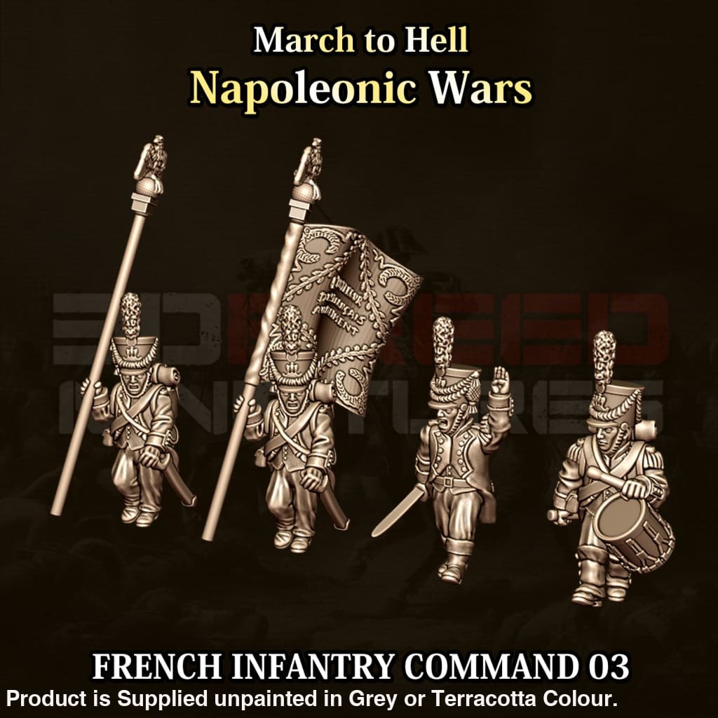 NWF Napoleonic French Infantry Command 03 15mm Figure