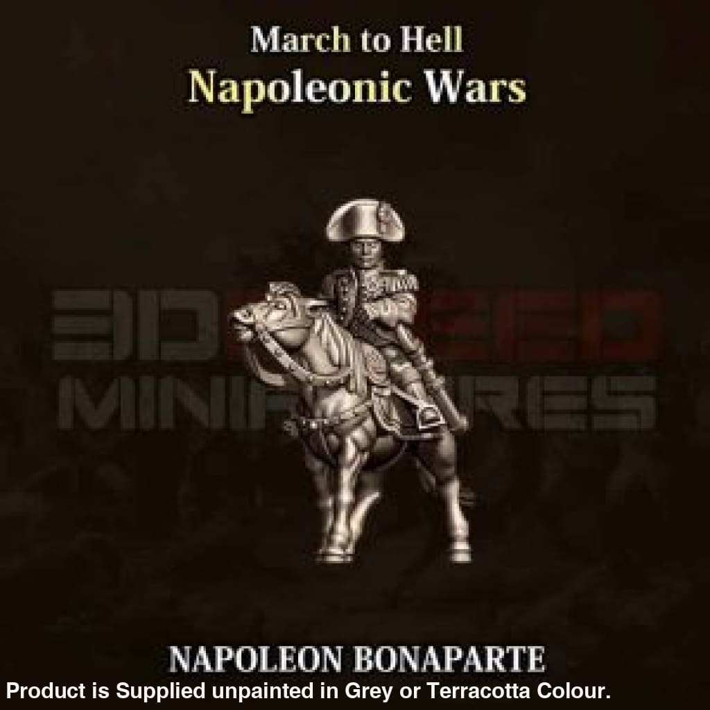NWF Napoleonic French Napoleon Bonaparte 15mm Figure