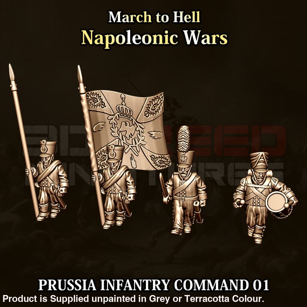 NWP Napoleonic Prussian Infantry Command 01 15mm Figure