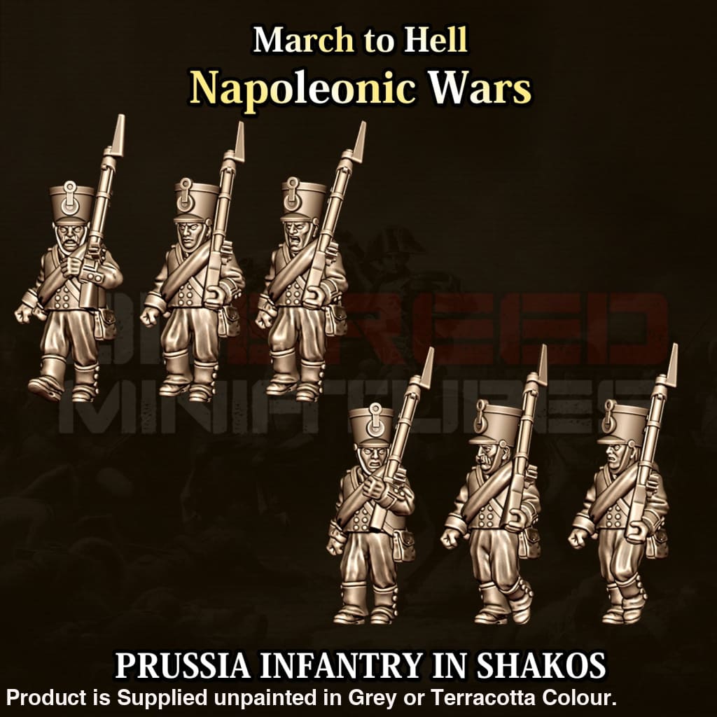 NWP Napoleonic Prussian Infantry in Shako’s Figure