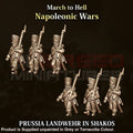 NWP Napoleonic Prussian Landwehr in Shako’s Figure