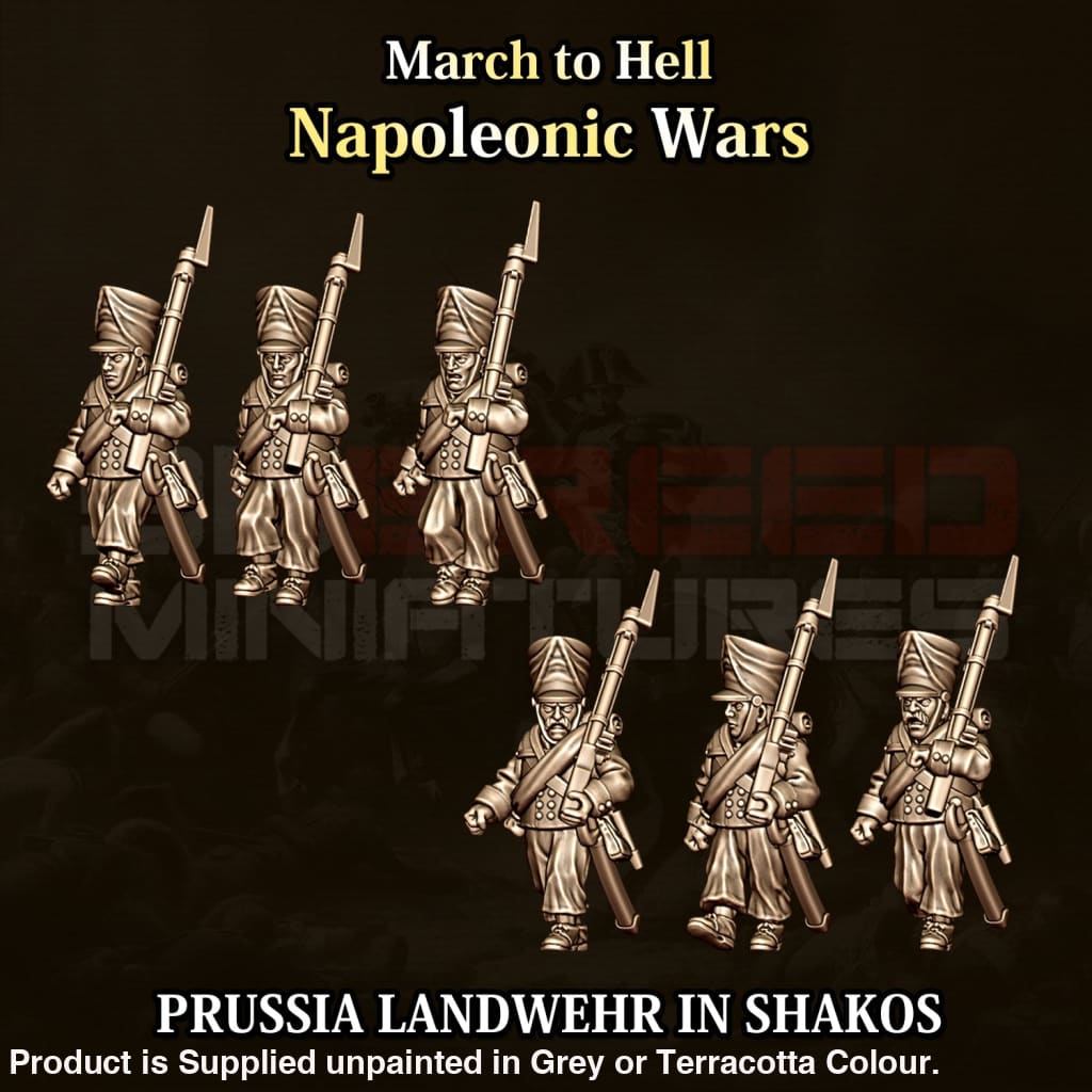 NWP Napoleonic Prussian Landwehr in Shako’s Figure