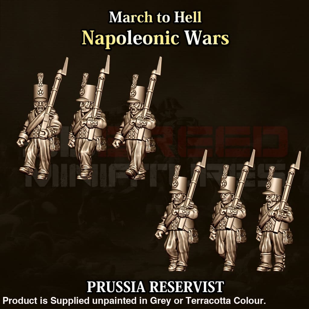NWP Napoleonic Prussian Reservest Figure