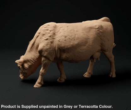 Oo Scale Red Devon Cow Grazing X 6 Animal