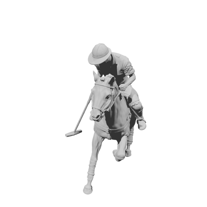 DG132 Horse polo player