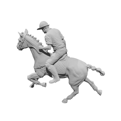 DG132 Horse polo player